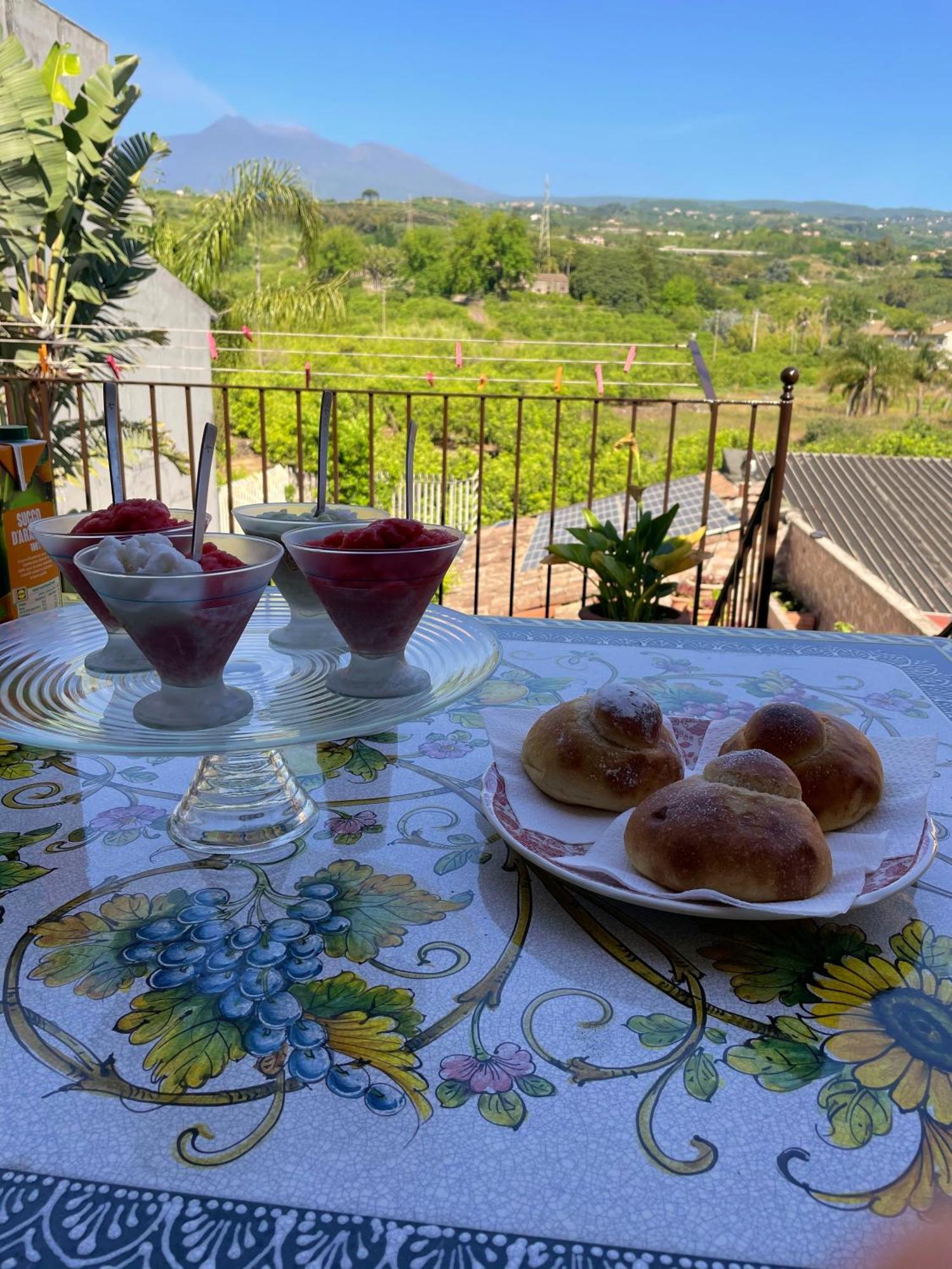 Limoneto Etna View Holiday home Giarre